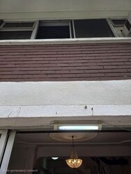 Blk 548 Jurong West Street 42 (Jurong West), HDB Executive #572058411